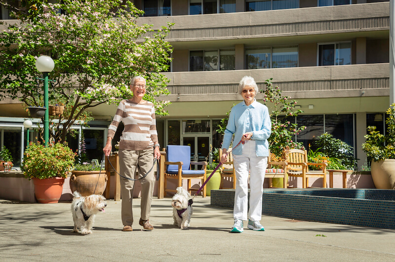 two female residents walk dogs in piedmont, oakland